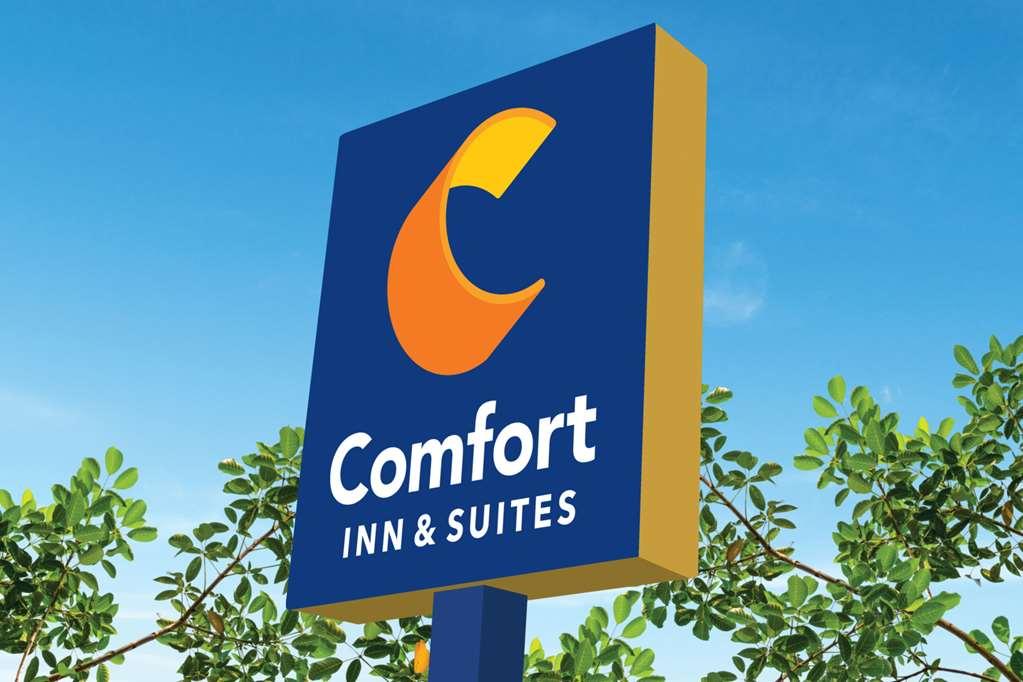 Comfort Inn & Suites Carrollton Eksteriør billede